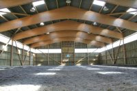 Manège à chevaux (2006), Niellans (25)