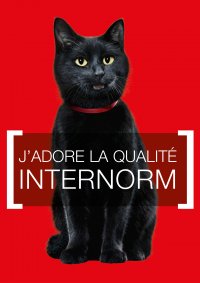 Changement de fenêtres INTERNORM (2013), MORBIER Les Marais (39)